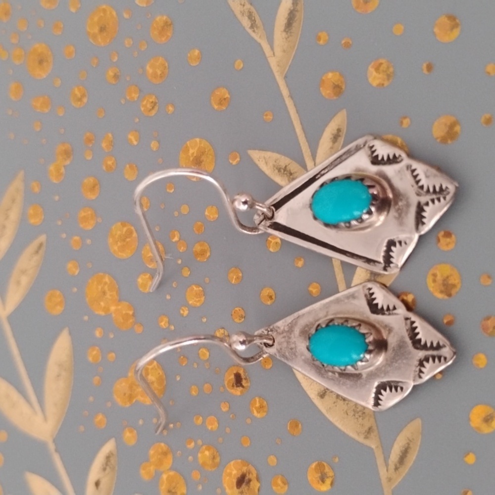Sleeping Beauty Turquoise Earrings